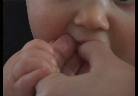 premier-pli-pr-dl premier-pli-pr-dl